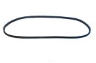 113845121b Uro Parts Windshield Seal Fits Vw Beetle 847603066565