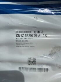 Cn1z-5829796-a 2018-2021 Ford Eco Sport Rear Glass Weather Seal Moulding Oem