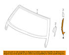 41217006246 Bmw Oem Windshield Seal Right