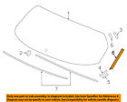 73254t7wa01 Honda Oem Liftgate Tailgate Left