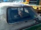 275-52233 82 Rabbit Convertible Rear Back