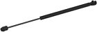 900075 Monroe New Lift Support Shocks Struts For Nissan Pathfinder