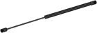 901659 Monroe New Lift Support Shocks For Isuzu Ascender