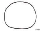 54016 955 565 Wd Express Brazil Windshield Seal Fits Volkswagen Beetle 884109497073