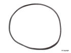 54018 955 565 Wd Express Brazil Windshield Seal Fits Volkswagen Beetle 884109497097