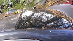 275-50137a Bmw Back Glass Sedan Canada Market With Privacy Tint Fits 06-11 323i 22407