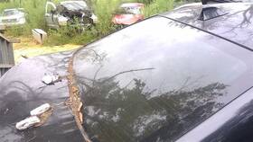 275-50418a Bmw Back Glass Green Tint Fits 11-16 528i 22449