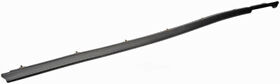 25840 Door Window Seal Dorman
