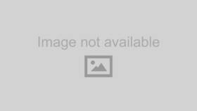 751576 Dorman Window Regulator For Smooth Operation