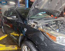 275-05841 Ford 15 16 17 18 Focus Hatchback Back Glass Only 311987