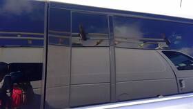 279-00366r Ford Passenger Rear Door Vent Glass Privacy Tint Fits 09-19 Flex 89168