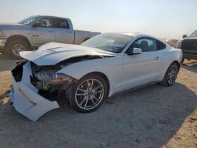 284-10559r Ford Local Pickup Only Passenger Right Quarter Glass Coupe Fits 21-23 Mustang 19016