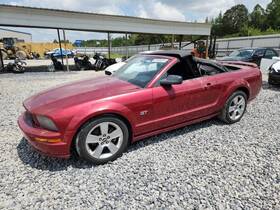 284.fd1f06 Ford Local Pickup Only Mustang 2006 Quarter Glass 2718458