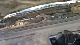 389868 Ford Used Front Left Door Window Regulator Fits 2020 F250sd Pickup Electr