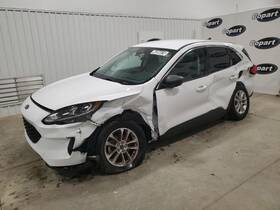 277-10334l Ford Truck Driver Left Front Door Glass Fits 20-23 Escape 7734346