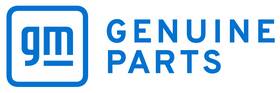15880718 Gm Genuine Rear Side Door Run Channel