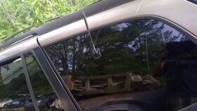 284-05650al Gmc Truck Driver Quarter Glass 113 Inch Wb With Privacy Tint Onstar Fits 02-03 Envoy 25228