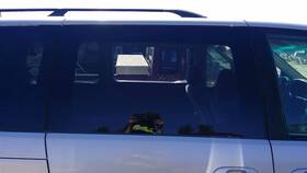 278-58898ar Honda Passenger Right Rear Door Glass Van Fits 99-04 Odyssey 543253