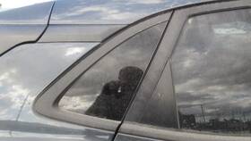 284-10121ar Hyundai Passenger Right Quarter Glass With Privacy Tint Fits 18-23 Kona 150191