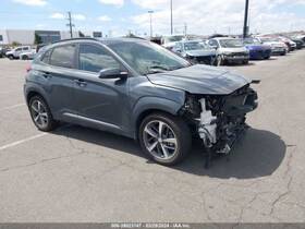 288-10084 Hyundai Local Pickup Only Roof Glass Fits 18-20 Kona