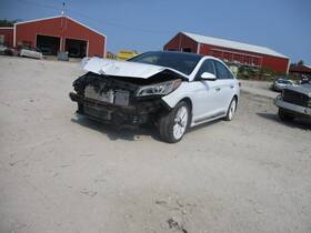 288-50850 Hyundai Local Pickup Only Roof Glass Panoramic Center Fits 15-19 Sonat