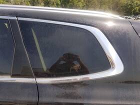 284-10159bl Kia 20-22 Telluride Oem Driver Left Rear Quarter Glass Window Satin Chrome