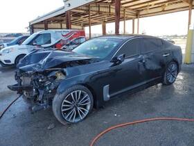 288-10047 Kia Roof Glass Movable Fits 18-20 Stinger 531296