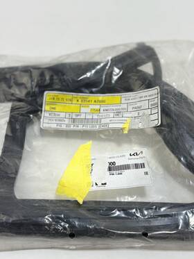 A7000 Kia 83541 2014-2016 Forte Rear Right Door Run Channel New Oem