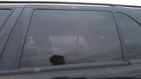 278-58533bl Mercedes-benz Driver Rear Door Glass 163 Type Ml350 Fits 02-05 Ml-class 25280848