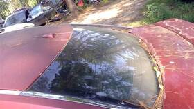 275-59534 Nissan Back Glass Fits 04-08 Maxima 22153