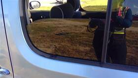 278-50363l Nissan Driver Left Rear Door Glass Privacy Tint Fits 09-14 Cube 94248 278-50363l Nissan Driver Left Rear Door Glass Privacy Tint Fits 09-14 Cube 94248