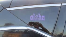 284-59590r Nissan Passenger Quarter Glass Privacy Tint Fits 15-23 Murano