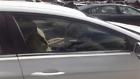 277-50631r R Front Door Glass Vin