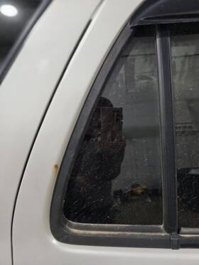279-56818ar Toyota Passenger Rear Door Vent Glass With Privacy Tint Fits 96-02 4 Runner