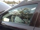 277-50316cl V70 Driver Front Door Glass