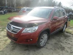 (local Pickup Only) Roof Glass Rear Fits 09-17 Tiguan 367316. Fixed Price $194.90.