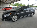 Roof Glass Only Panoramic Rear Fixed Fits 15-19 Sonata 1102632. Fixed Price $241.25.