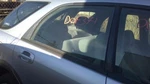 Passenger Rear Door Glass Thru 03/11/03 Station Wgn Fits 02-04 Impreza 31851190. Fixed Price $143.00.