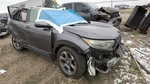 Used Rear Left Door Window Regulator Fits: 2018 Honda Cr-v Grade. Fixed Price $145.54.