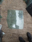 1997-2003 Bmw 525I 528I 530I 540I M5 Rear Left Side Door Window Glass Oem. Fixed Price $70.00.