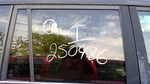 Passenger Right Rear Door Glass Fits 03-09 Lexus GX470 389748. Fixed Price $120.00.