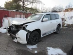 Passenger Right Quarter Glass Without Antenna Fits 10-23 Lexus GX460 1108599. Fixed Price $175.00.