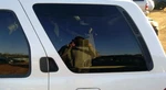 Driver Quarter Glass Privacy Tint Fits 99-04 Pathfinder 267442. Fixed Price $159.99.
