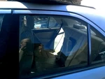Driver Rear Door Glass 202 Type C280 Fits 94-00 Mercedes C-class 156448. Fixed Price $40.00.