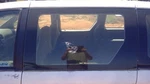 Driver Left Rear Door Glass Light Tint Fits 01-07 Caravan 287060. Fixed Price $143.99.