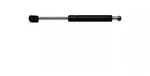 Back Glass Lift Support Strong Arm 6157. Fixed Price $17.99.