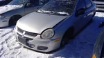 (local Pickup Only) Windshield Glass Fits 00-05 Neon 287703. Fixed Price $128.24.