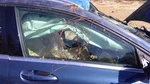 Passenger Front Door Glass 156 Type Fits 15-20 Mercedes Gla-class 463625. Fixed Price $135.00.