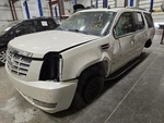 Driver Left Rear Door Glass With Privacy Tint Fits 07-14 Escalade 1542153. Fixed Price $159.50.