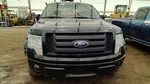 (local Pickup Only) Passenger Rear Door Glass Super Cab Fits 04-14 Ford. Fixed Price $99.90.